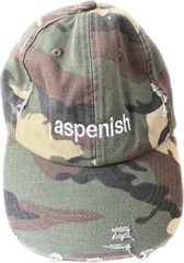 Aspenish